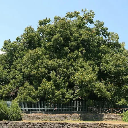 Guest house In Bb - Stanza In Affitto *